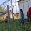 Program PKK Pemanfaatan Lahan Pekarangan, Kebun Dasawisma