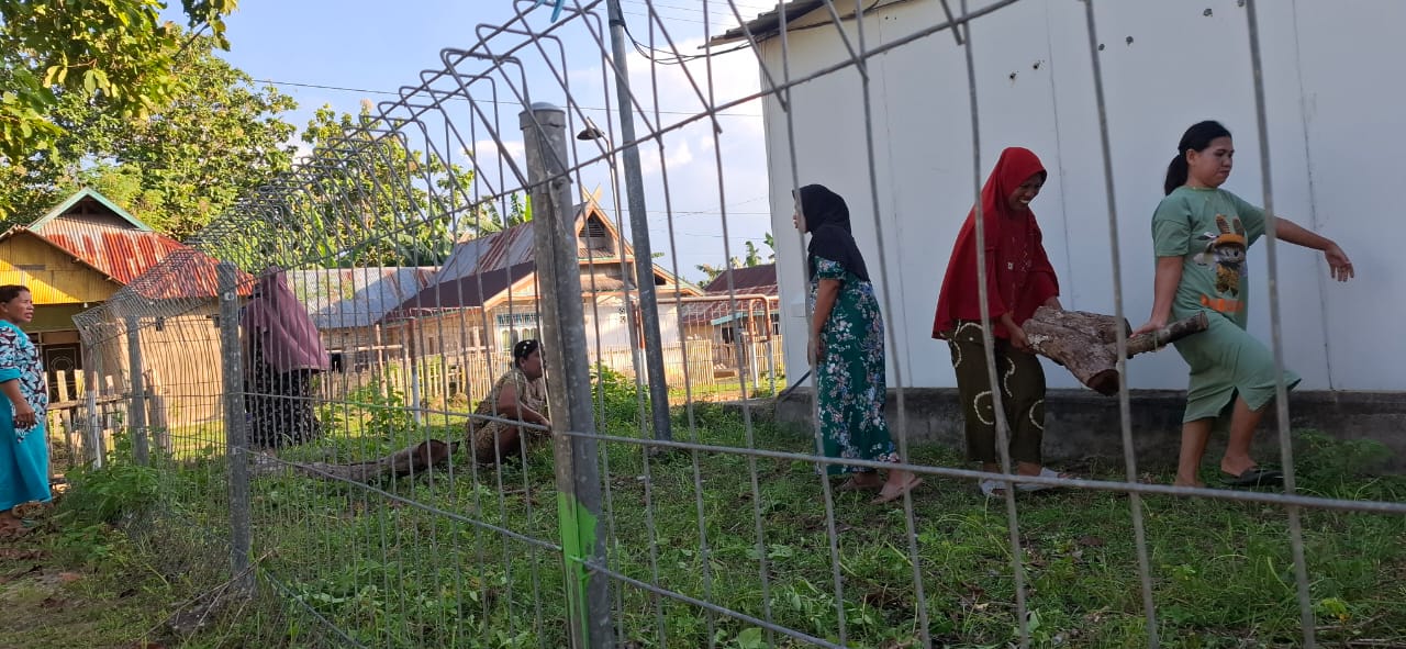 Program PKK Pemanfaatan Lahan Pekarangan, Kebun Dasawisma